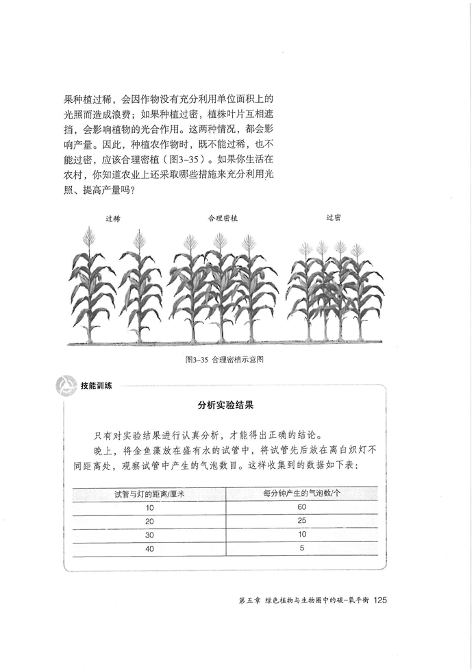 光合作用吸收二氧化碳释放氧气(6)