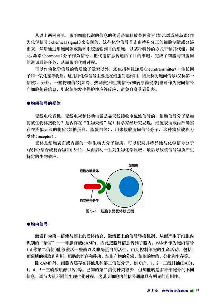 环境信息的传递(2)