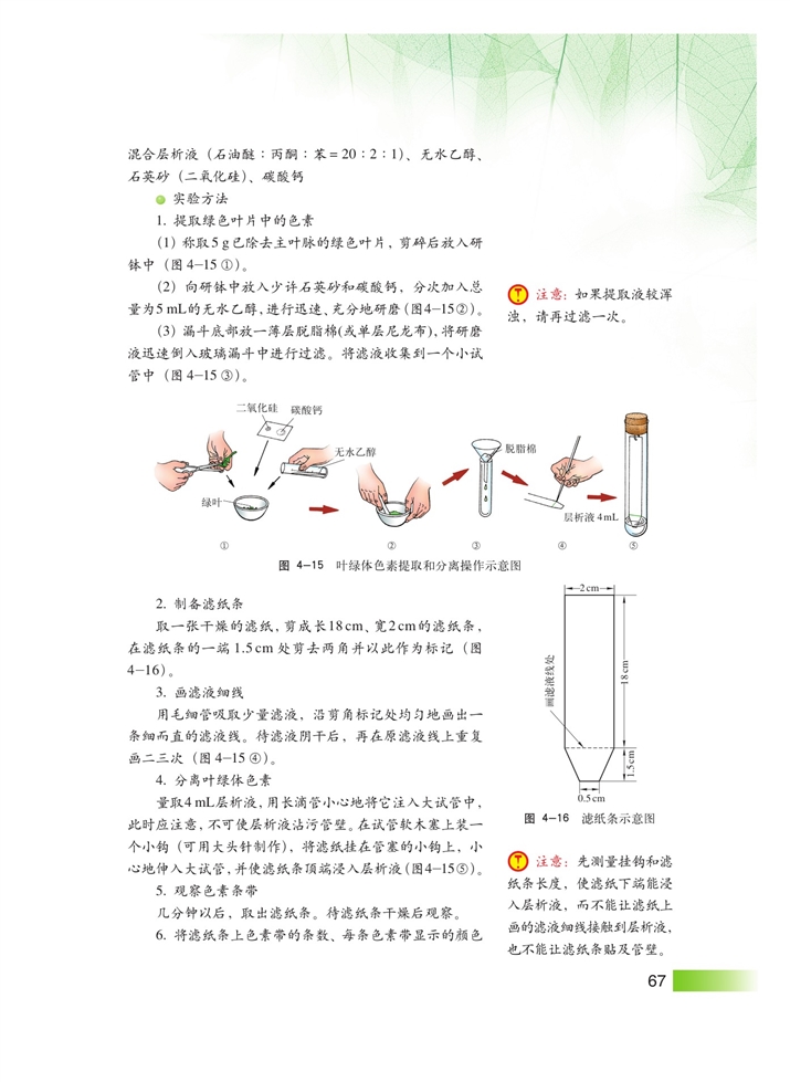 光合作用(5)