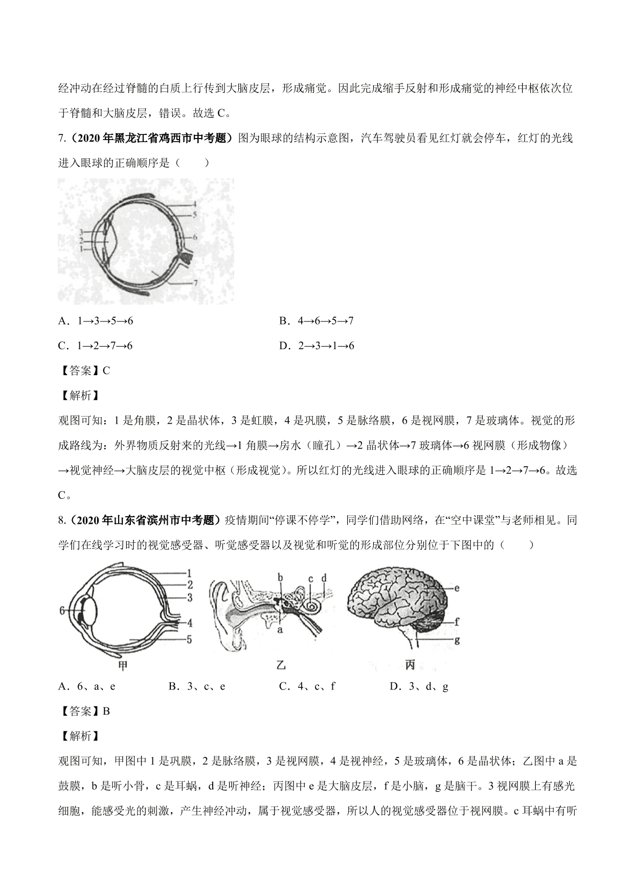 2020-2021学年中考生物真题汇编及答案：人体生命活动的调节