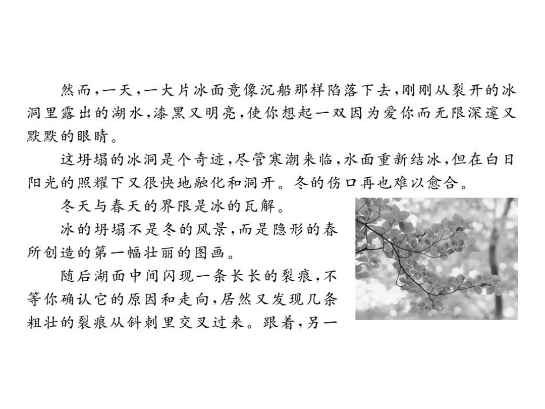 苏教版七年级语文上册第四单元检测卷（PDF）