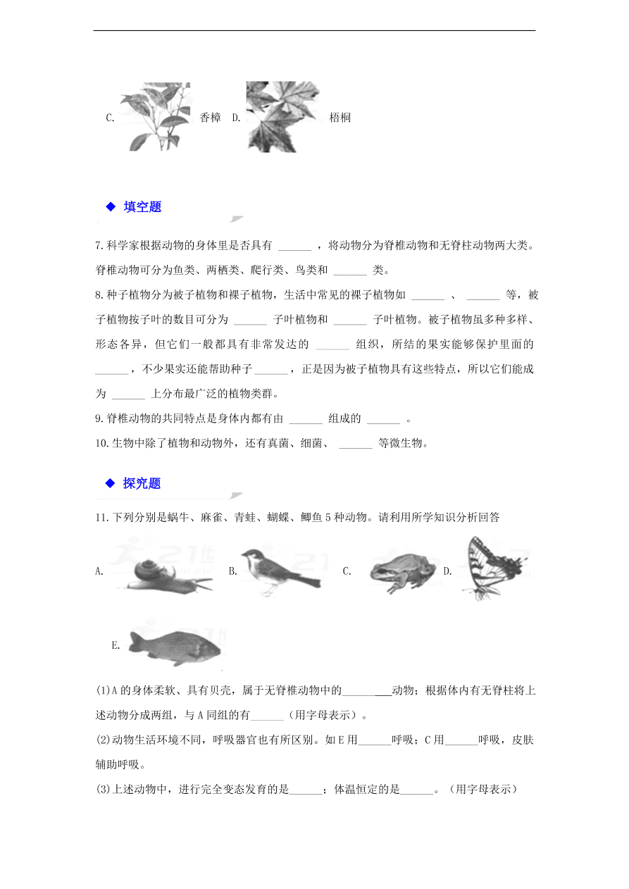 人教版八年级生物上册《尝试对生物进行分类》同步练习及答案