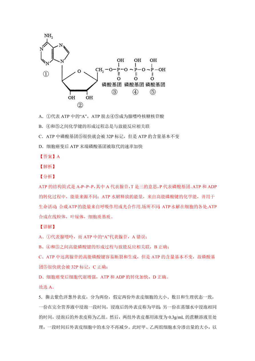 2020-2021学年高三生物一轮复习易错题03 细胞的代谢1（酶、ATP、渗透实验）