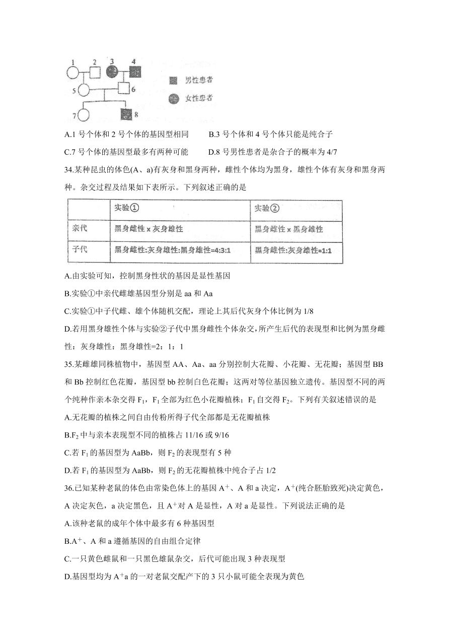 河北省衡水中学2021届高三生物上学期期中试题（Word版附答案）