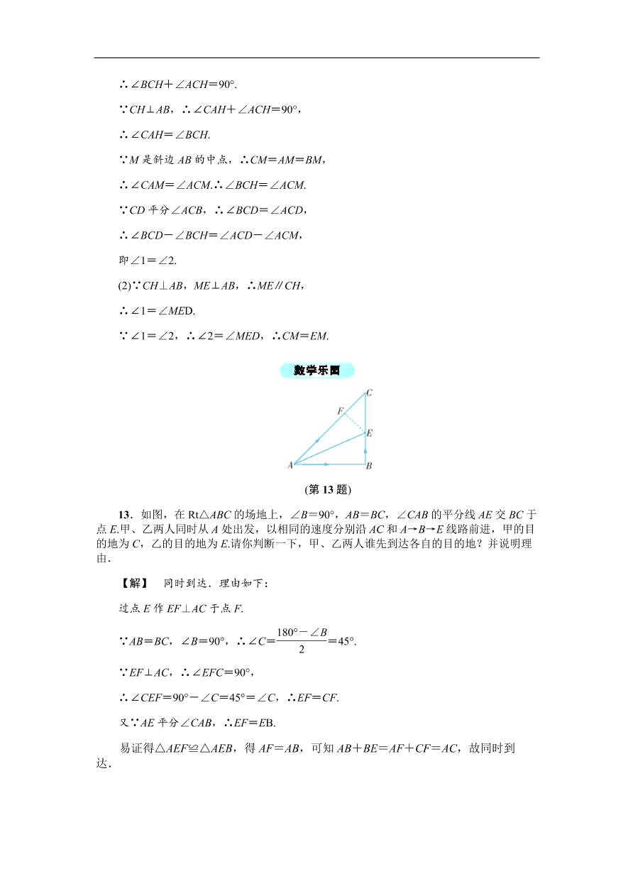 八年级数学上册基础训练2.6  直角三角形（一）（含答案）