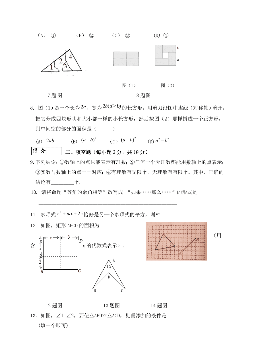 长春市九台区八年级数学第一学期期中试卷及答案