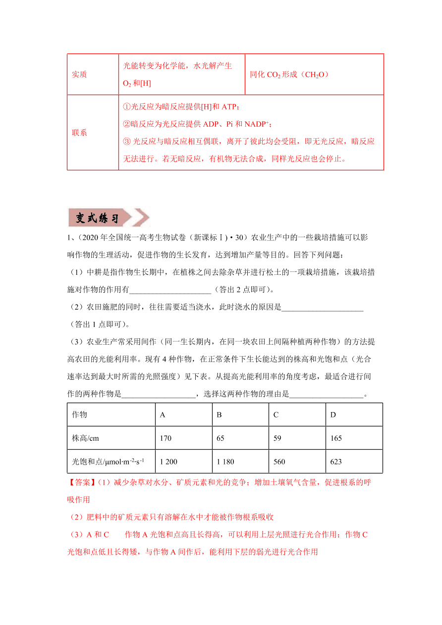 2020-2021学年高三生物一轮复习易错题03 细胞的代谢2（光合与呼吸）