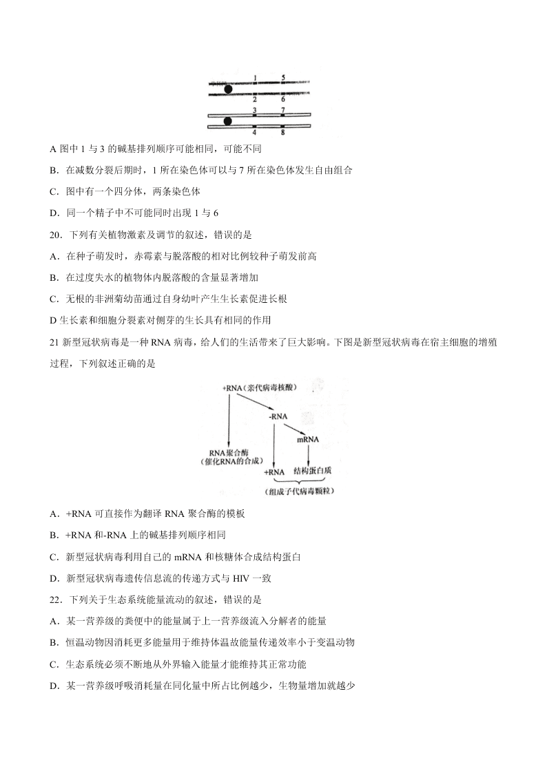 浙江省新高考联盟2021届高三生物上学期返校联考试题（Word版附答案）