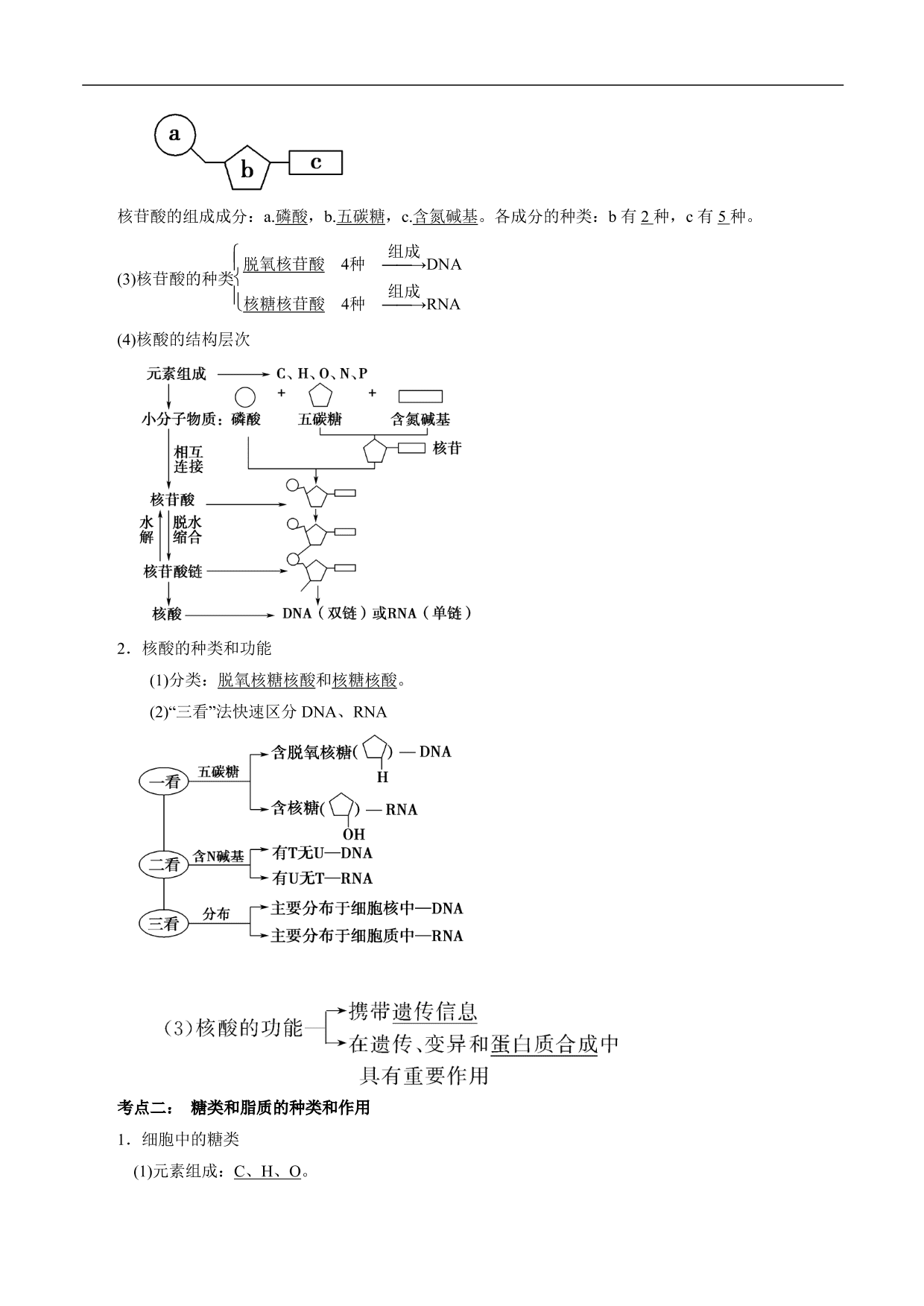 2020-2021年高考生物一轮复习考点讲解与练习：核酸、糖类和脂质