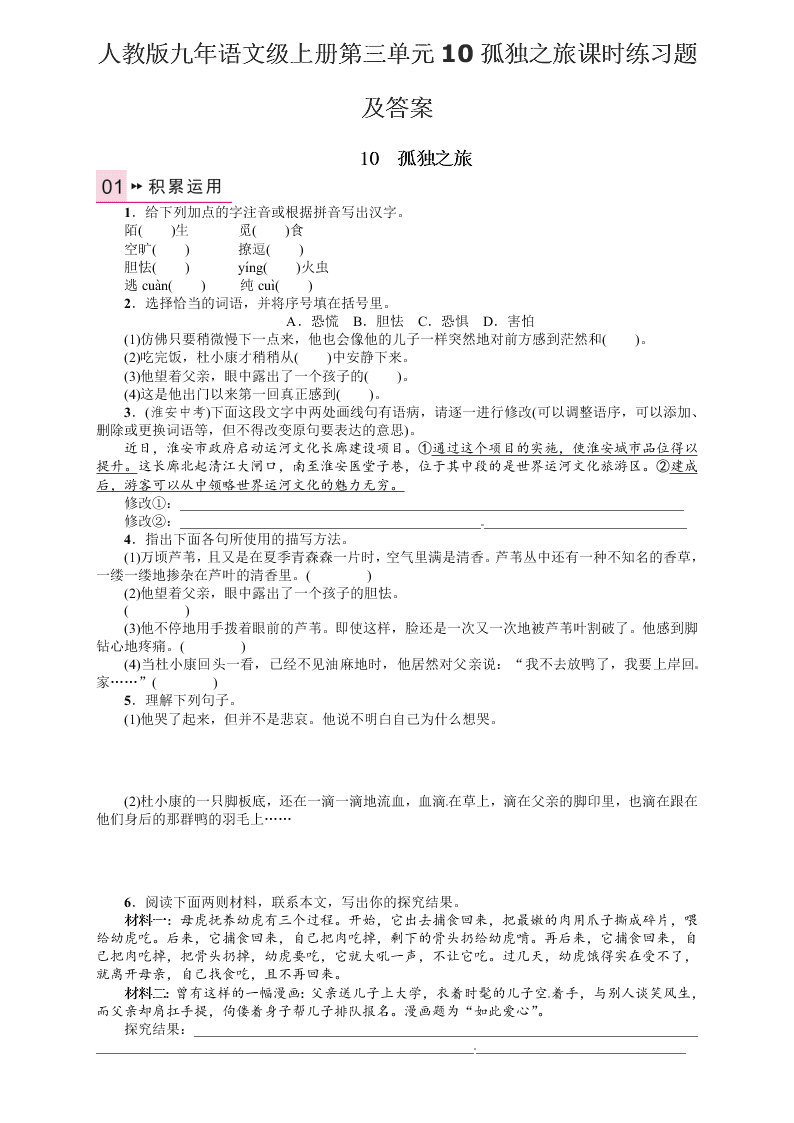 人教版九年语文级上册第三单元10孤独之旅课时练习题及答案