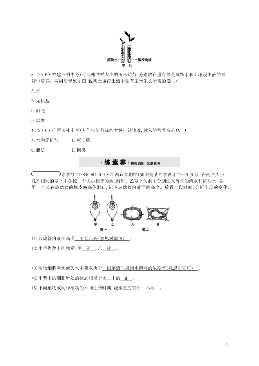 北师大版七年级生物上册5.3《吸收作用》同步练习及答案