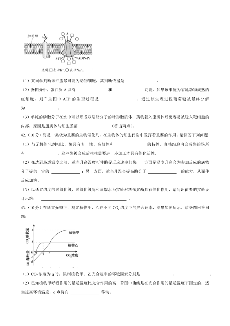 四川省成都七中2021届高三生物上学期入学考试试题（Word版附答案）