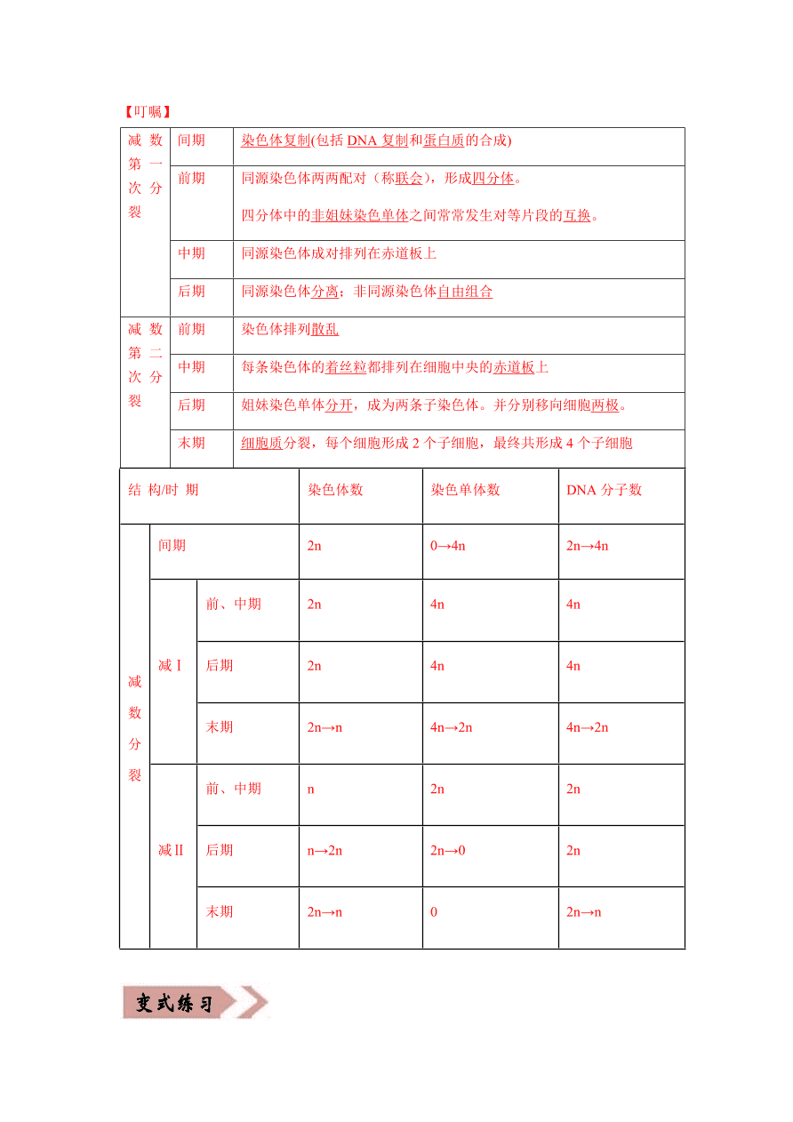 2020-2021学年高三生物一轮复习易错题05 遗传的细胞基础
