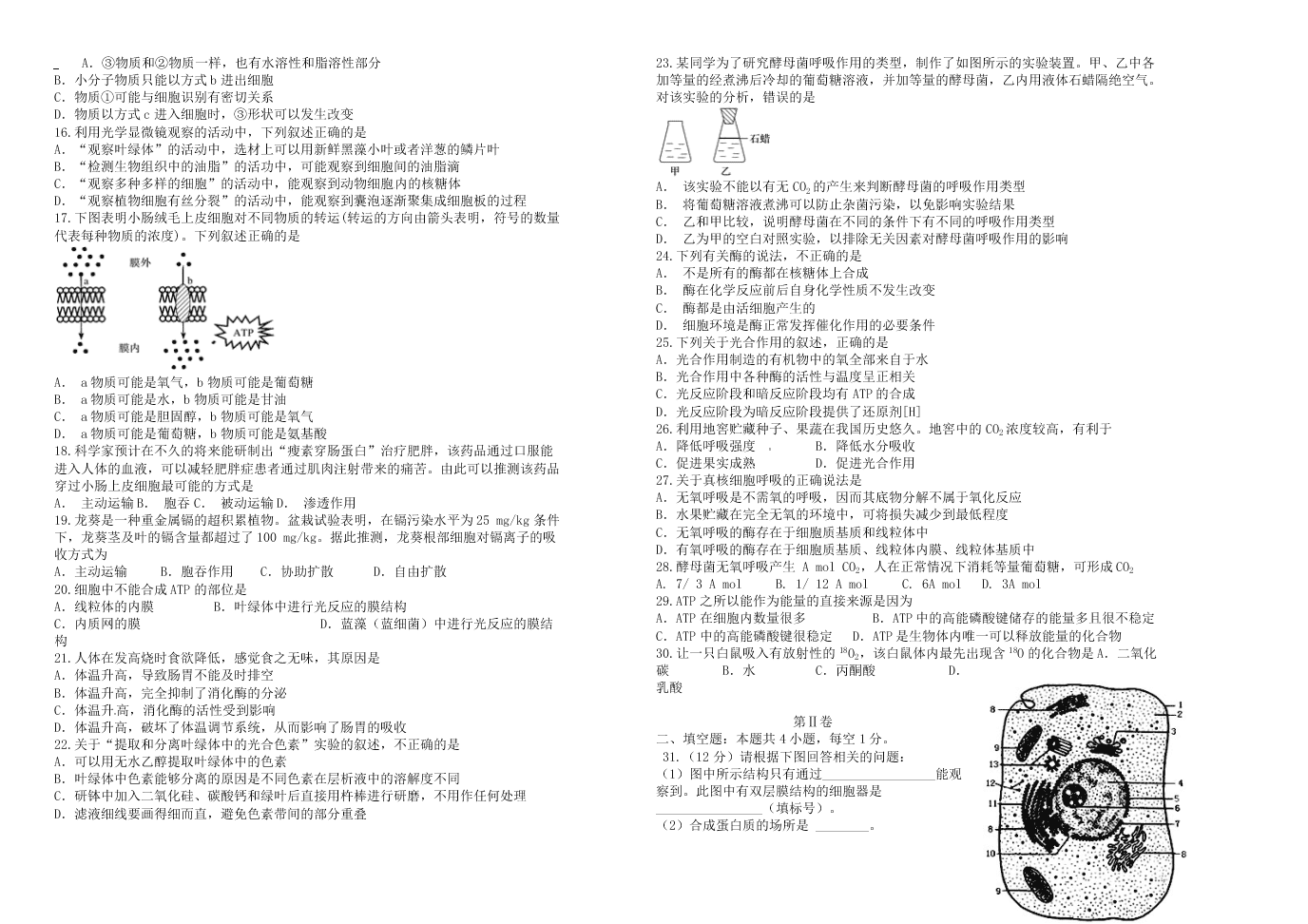  吉林省长春外国语学校2020学年高二下学期生物期末考试试卷（含答案）