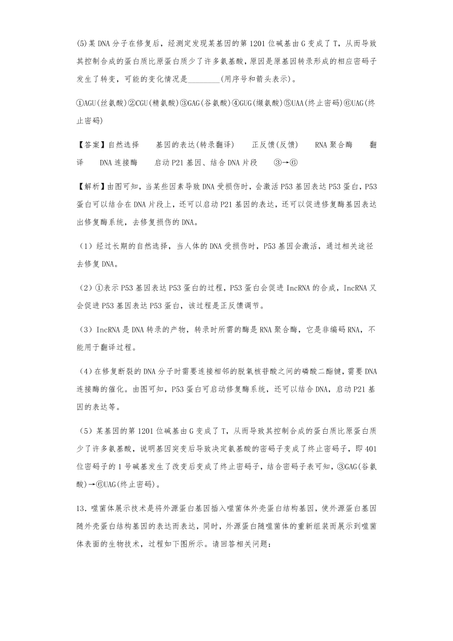人教版高三生物下册期末考点复习题及解析：DNA是主要的遗传物质、结构、复制和基因的表达