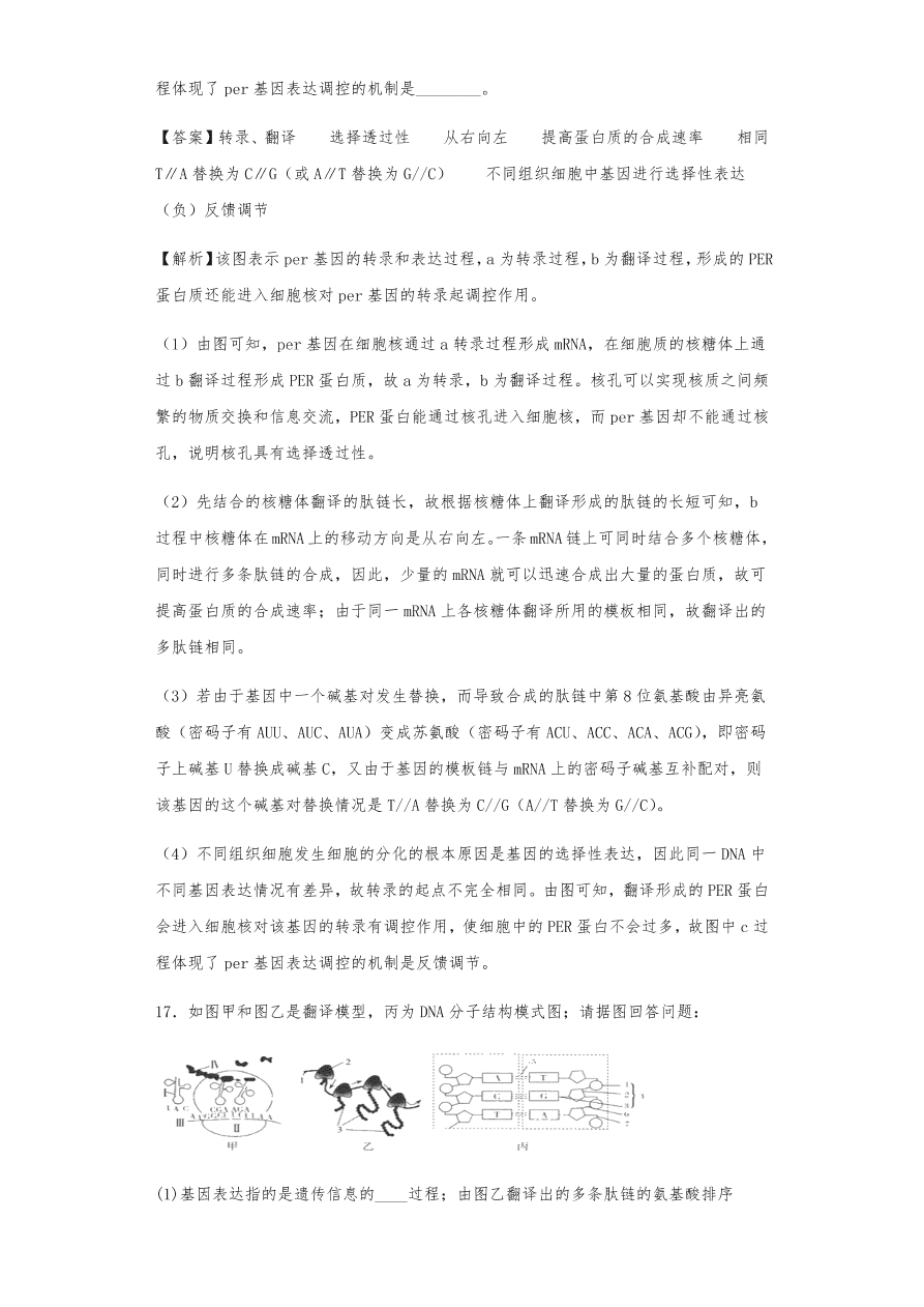 人教版高三生物下册期末考点复习题及解析：DNA是主要的遗传物质、结构、复制和基因的表达
