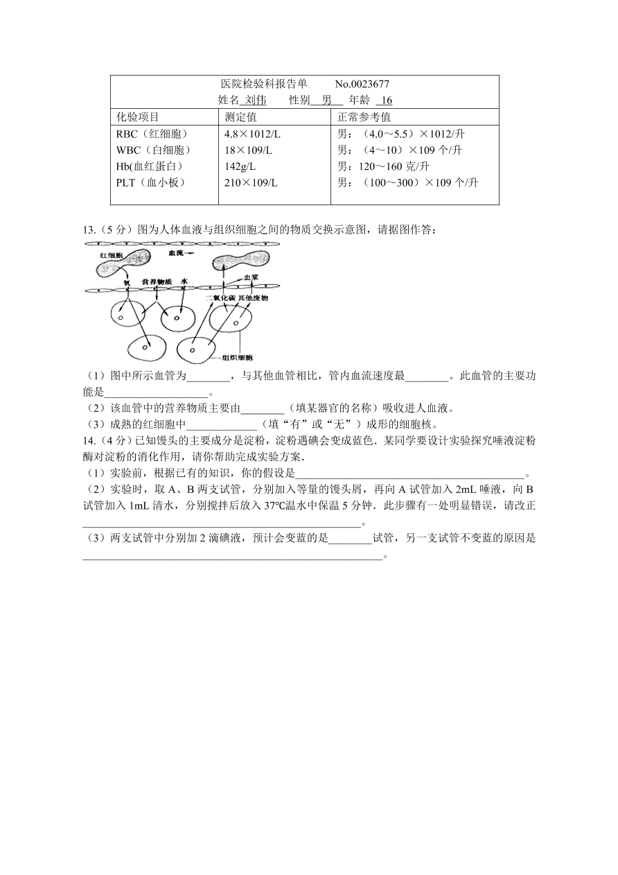 麻城市七年级生物下册期中试题及答案