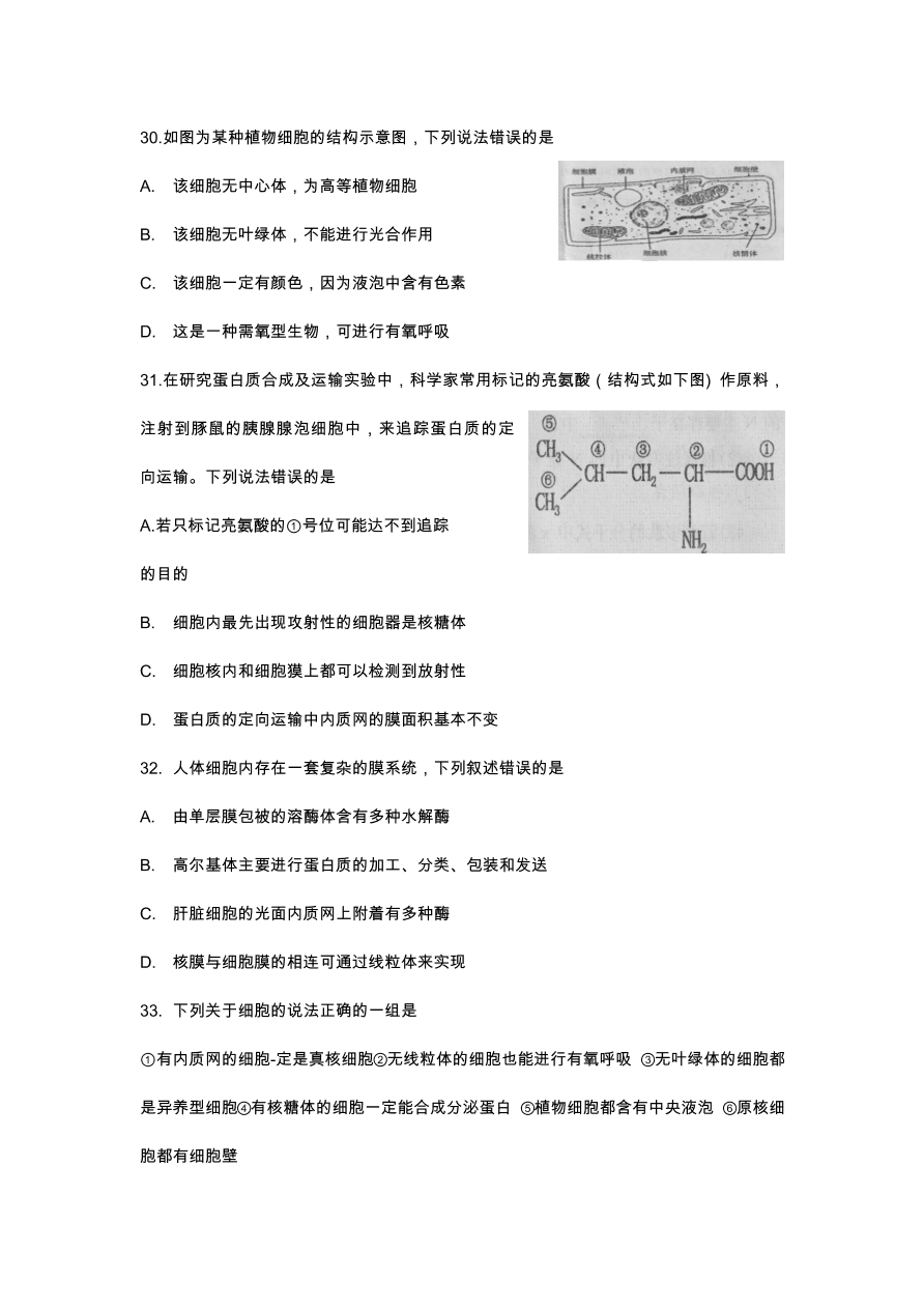 河南省洛阳市2020-2021高一生物上学期期中试卷（Word版附答案）