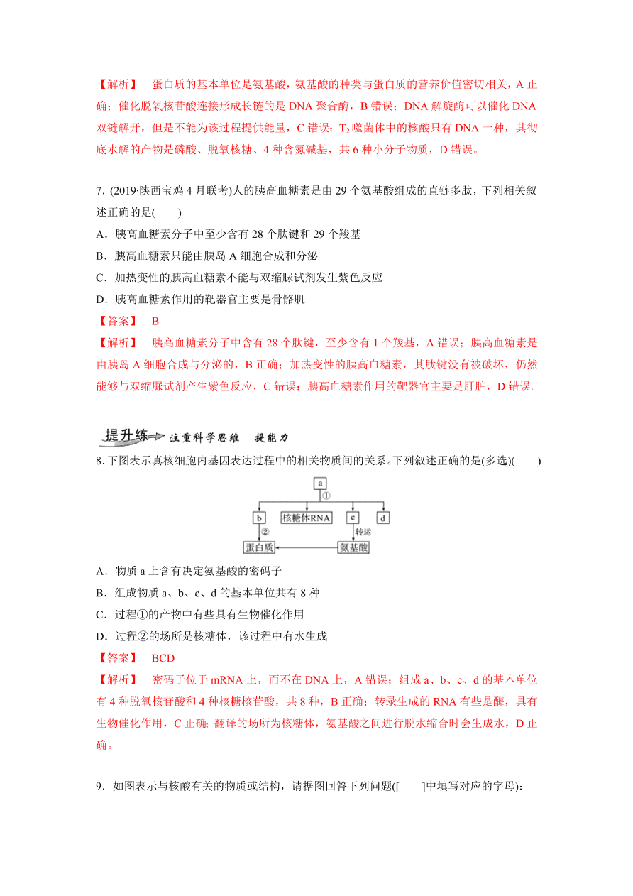 2020-2021学年高三生物一轮复习专题03 蛋白质和核酸（练）