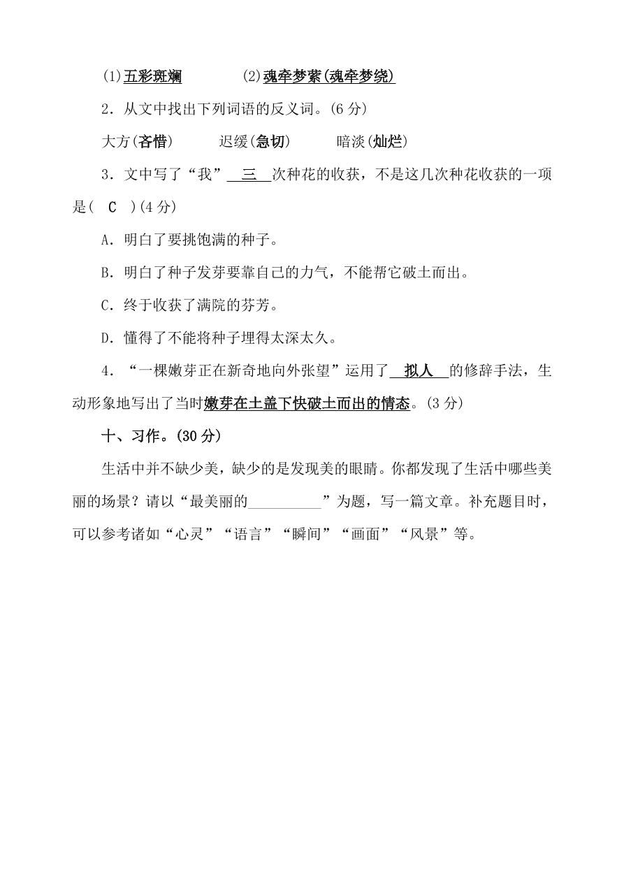 人教部编版六年级语文上册期中精选卷及答案