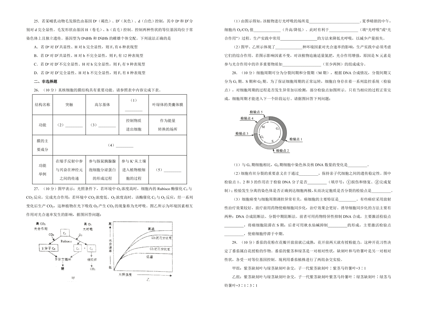 人教版2021届高三生物上学期期中备考卷（B卷）（Word版附答案）