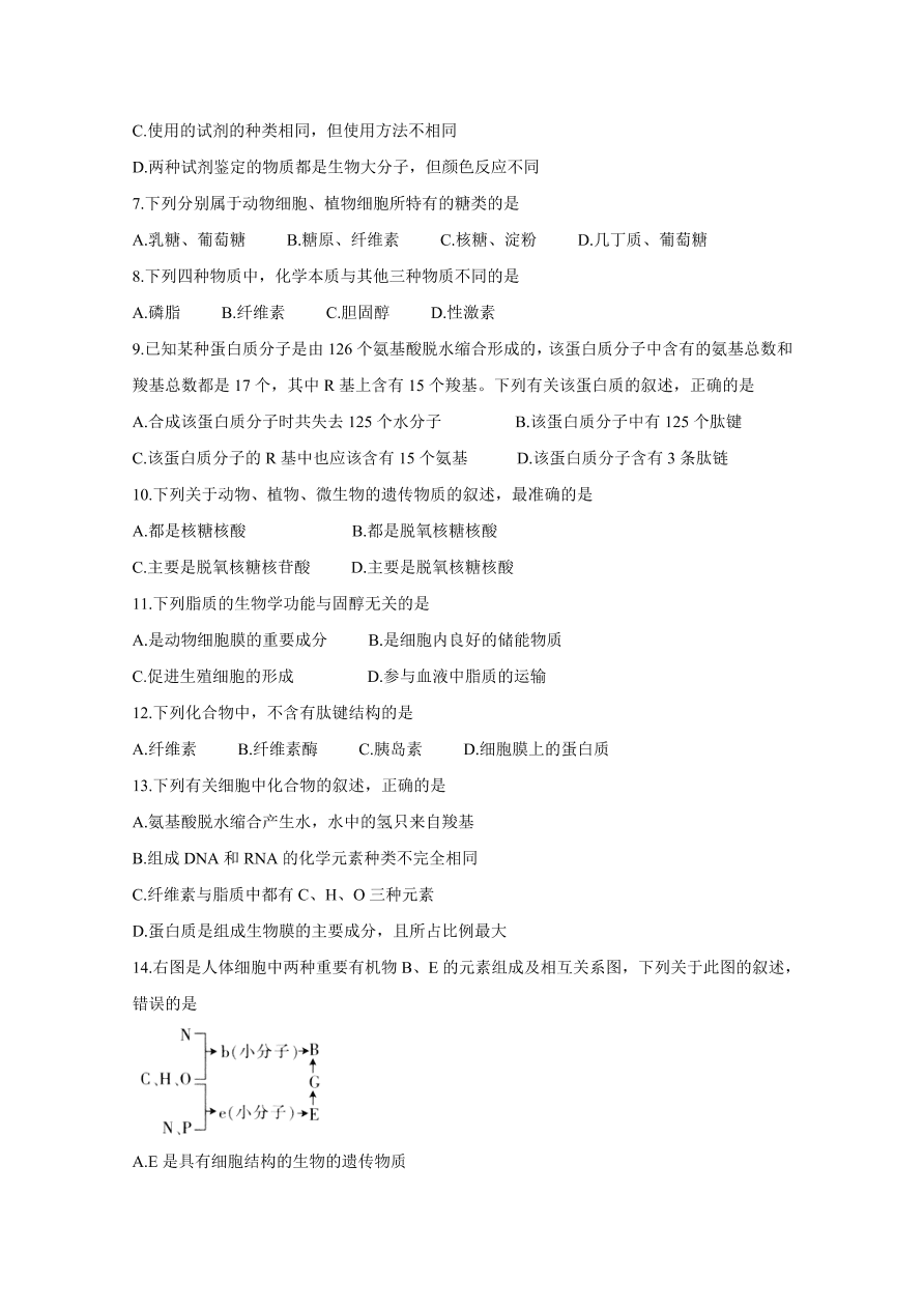 湖南省邵阳县2020-2021高一生物上学期期中试题（附答案Word版）