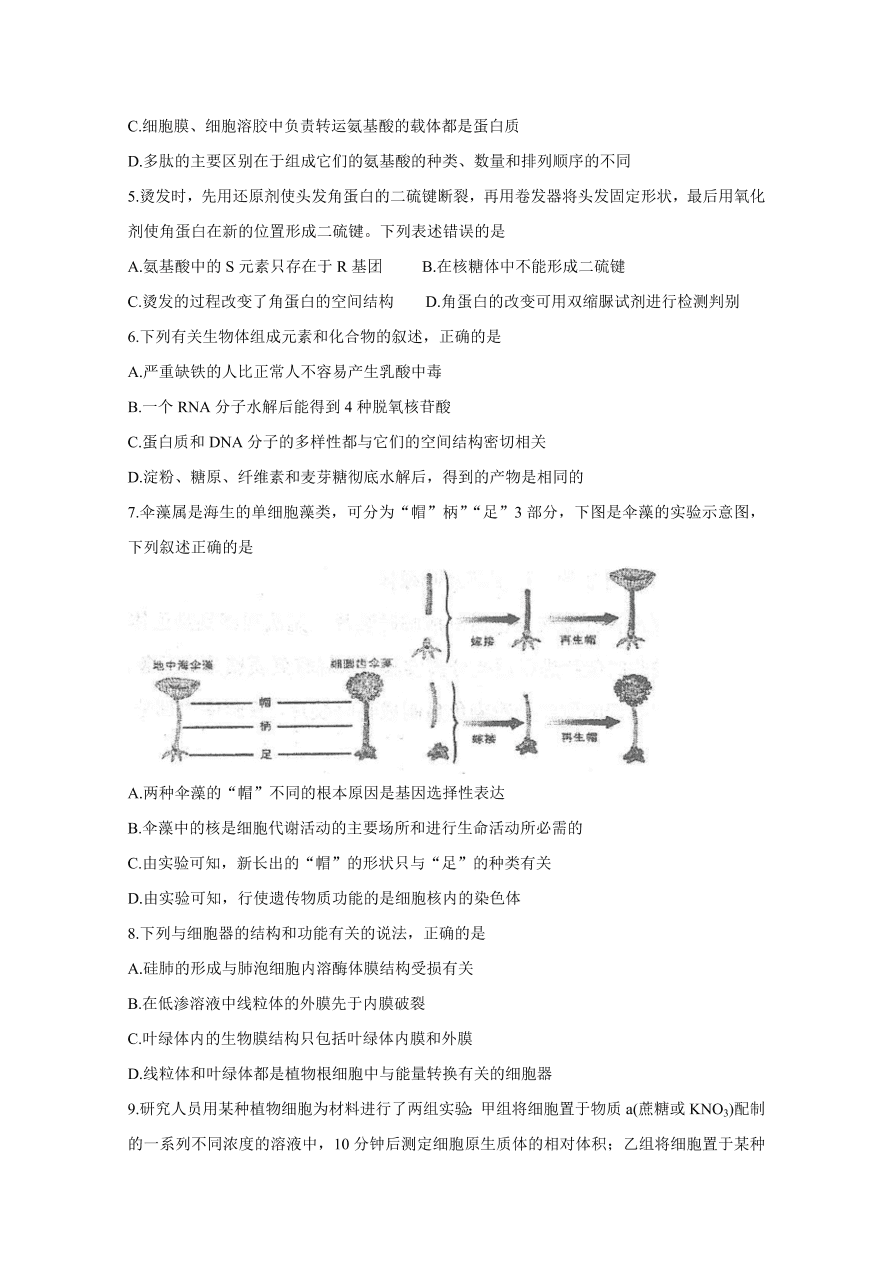 河北省衡水中学2021届高三生物上学期期中试题（Word版附答案）