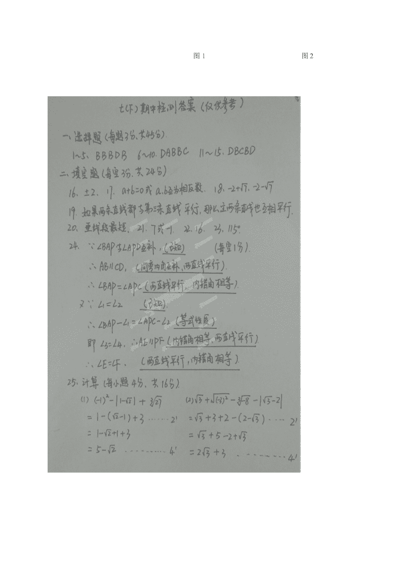 临沭县七年级下学期数学期中试题及答案