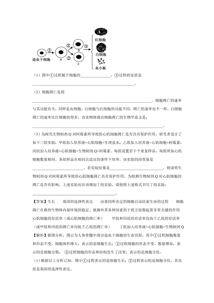 2020-2021学年高考生物精选考点突破专题06 细胞的增殖、分化、衰老、凋亡和癌变