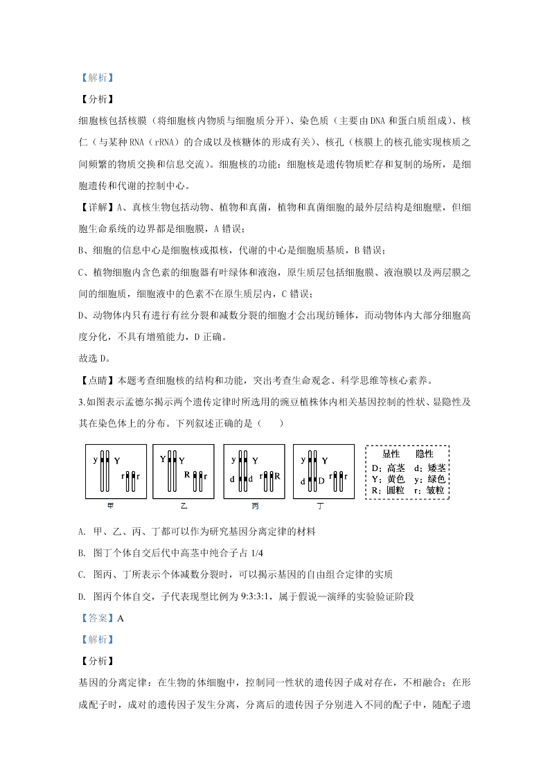 河北衡水中学2020届高三生物下学期第五次调研试题（Word版附解析）