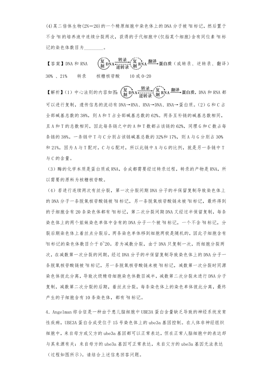 人教版高三生物下册期末考点复习题及解析：DNA是主要的遗传物质、结构、复制和基因的表达