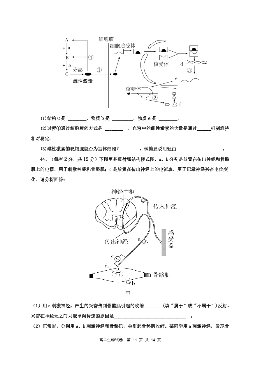 福建省福州市八县市一中2020-2021高二生物上学期期中联考试题（Word版附答案）