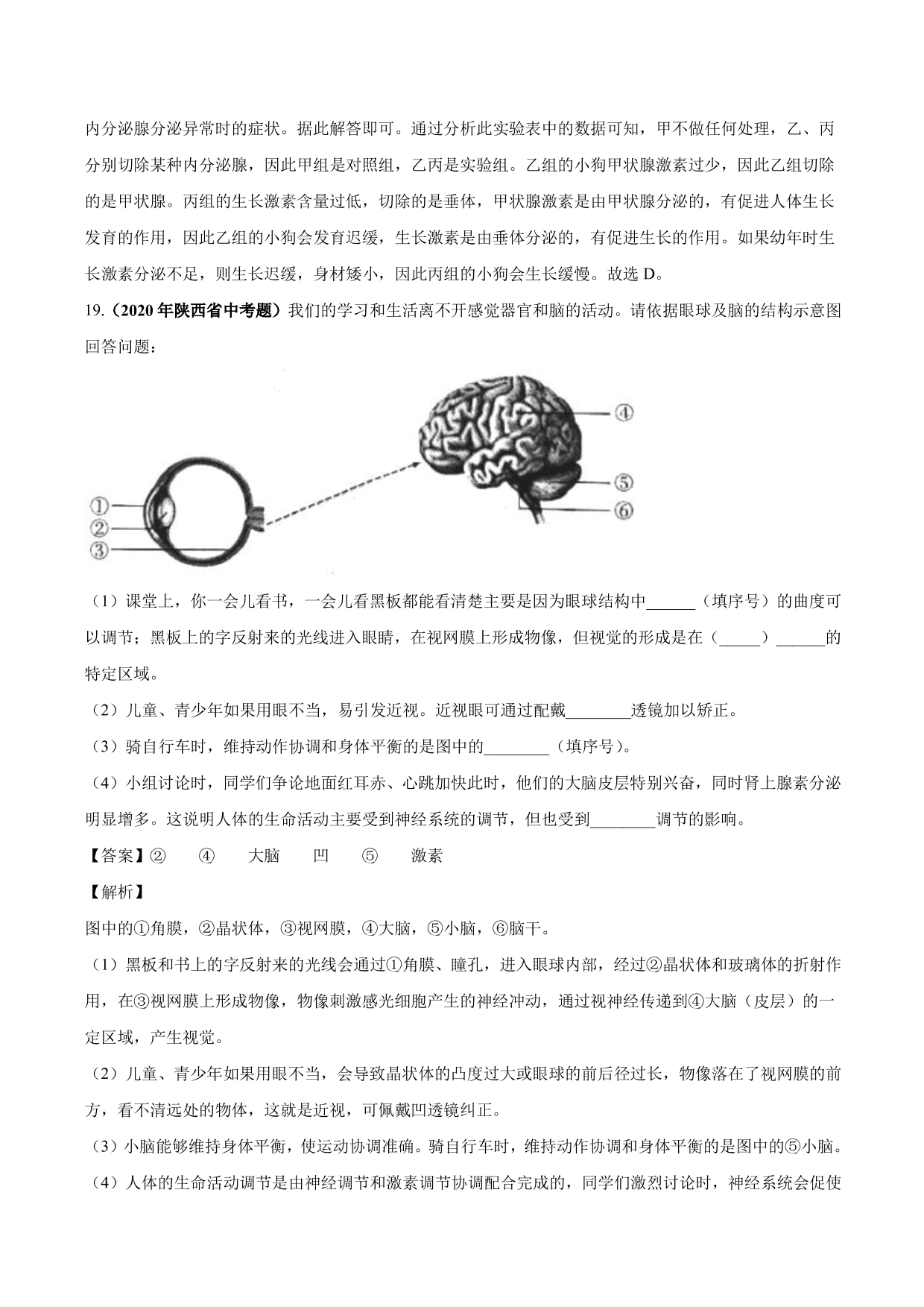 2020-2021学年中考生物真题汇编及答案：人体生命活动的调节