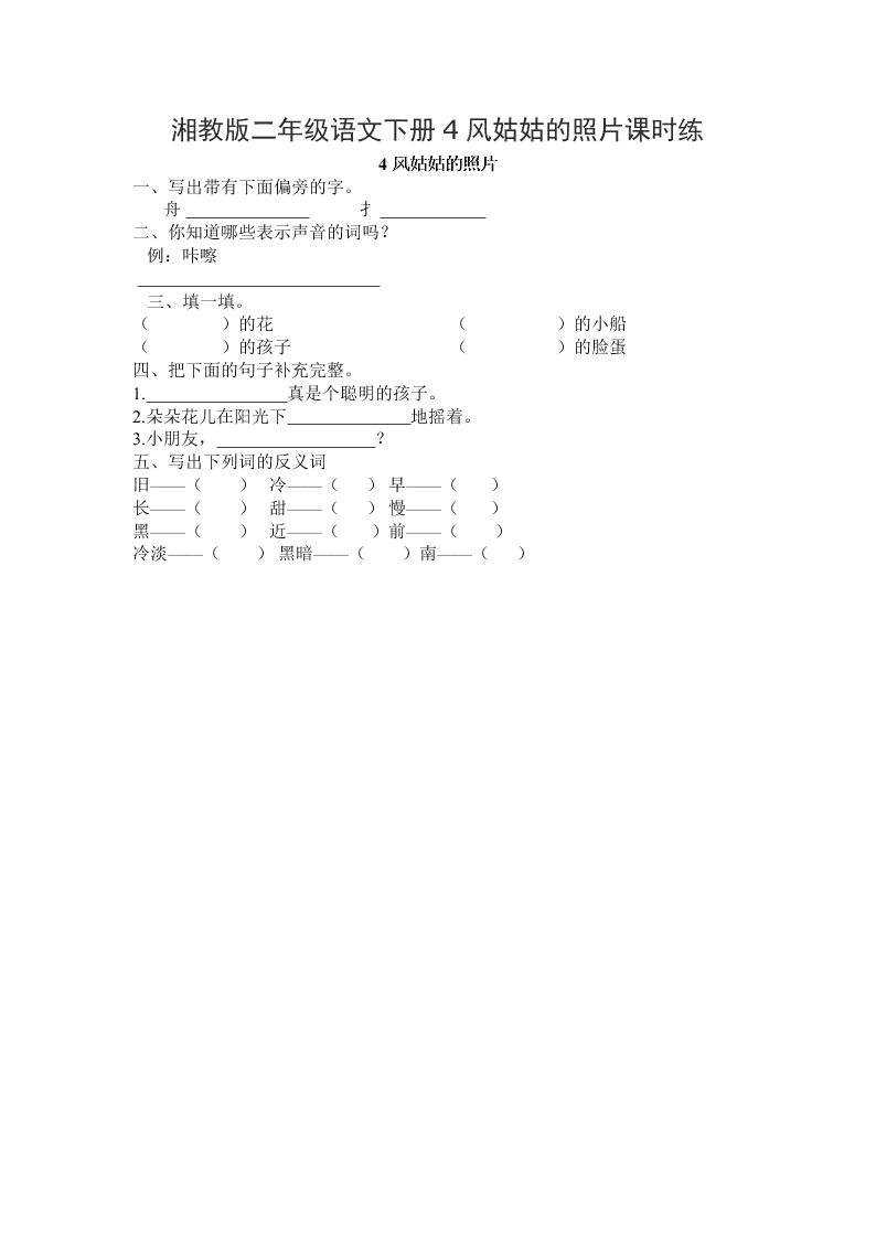 湘教版二年级语文下册4风姑姑的照片课时练
