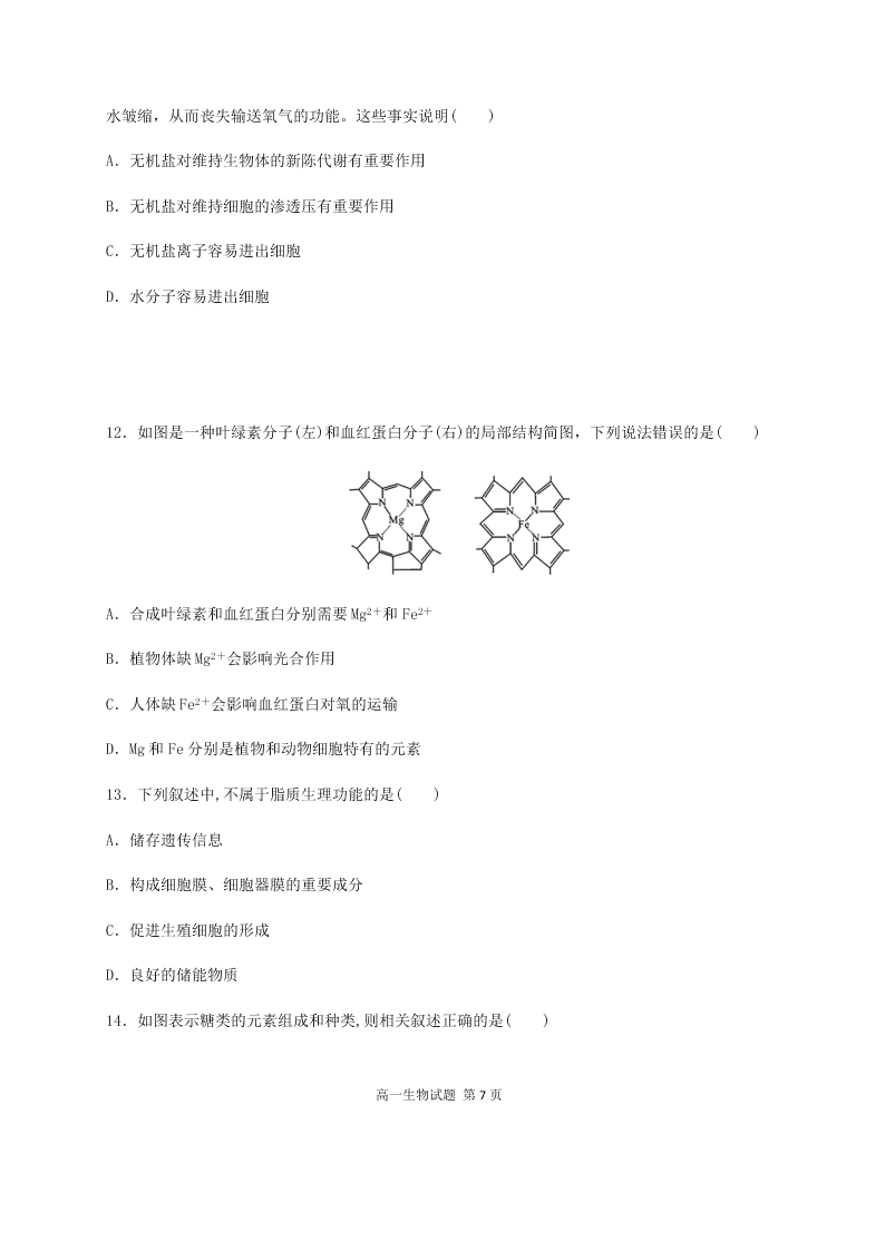 黑龙江省哈尔滨市第六中学2020-2021高一生物10月月考试卷（Word版附答案）