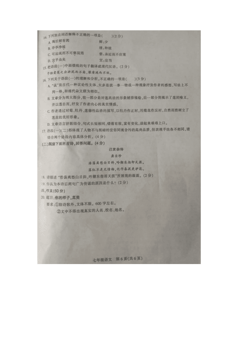 河南省平顶山市2019-2020学年七年级下学期期末调研考试语文试题（图片版，无答案）   