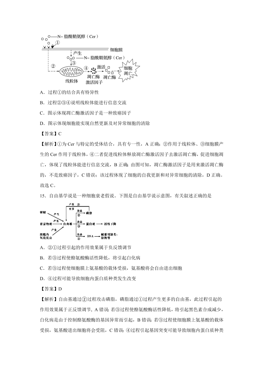 2020-2021学年高考生物精选考点突破专题06 细胞的增殖、分化、衰老、凋亡和癌变