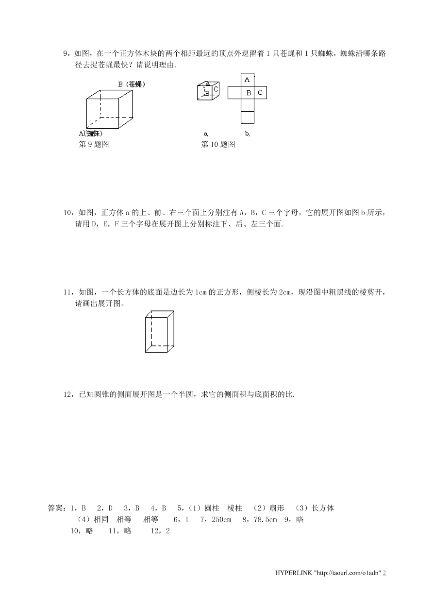 北师大版七年级数学上册《1.2展开与折叠（3）》同步练习及答案