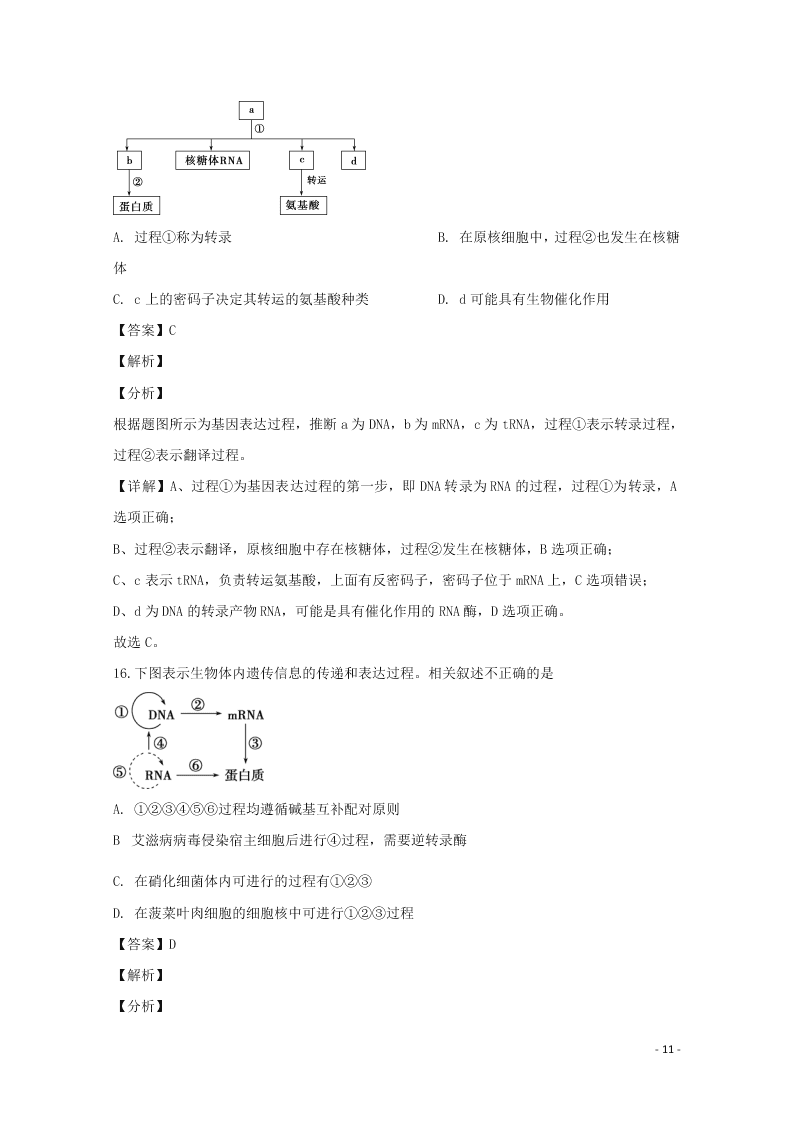 哈尔滨市第六中学2020学年度高二生物上学期期末考试试题（含解析）