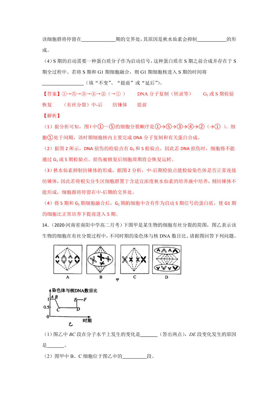 2020-2021学年高三生物一轮复习专题11 细胞的增殖（练）