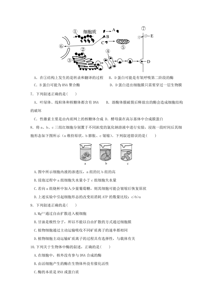 黑龍江省哈爾濱市第六中學2021屆高三生物上學期期中試題（Word版含答案）