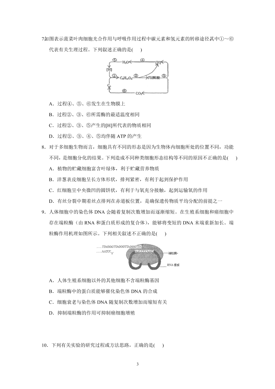 河北省实验中学2021届高三生物上学期期中试题（附答案Word版）