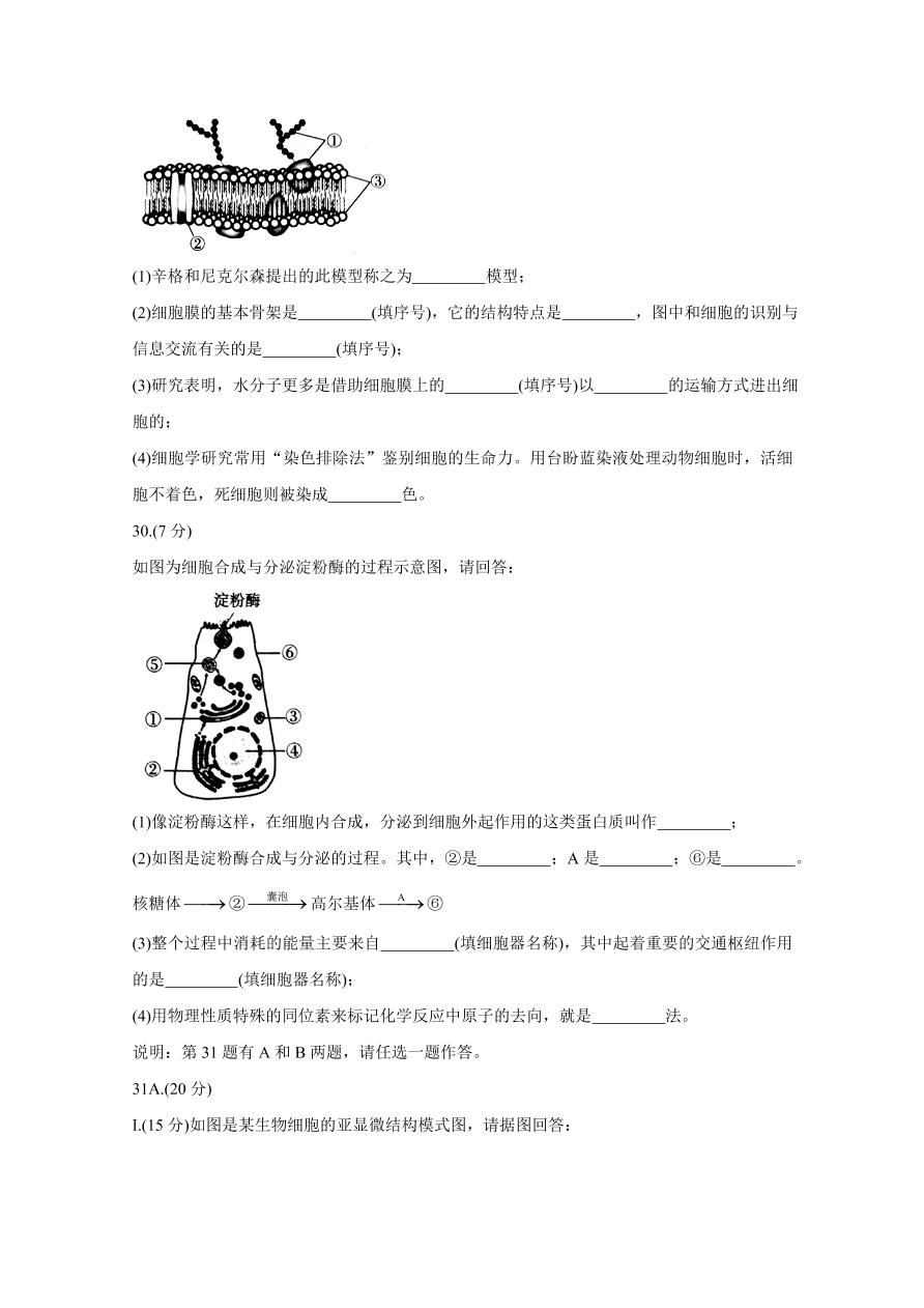 山西省太原市2020-2021高一生物上学期期中试题（Word版附答案）