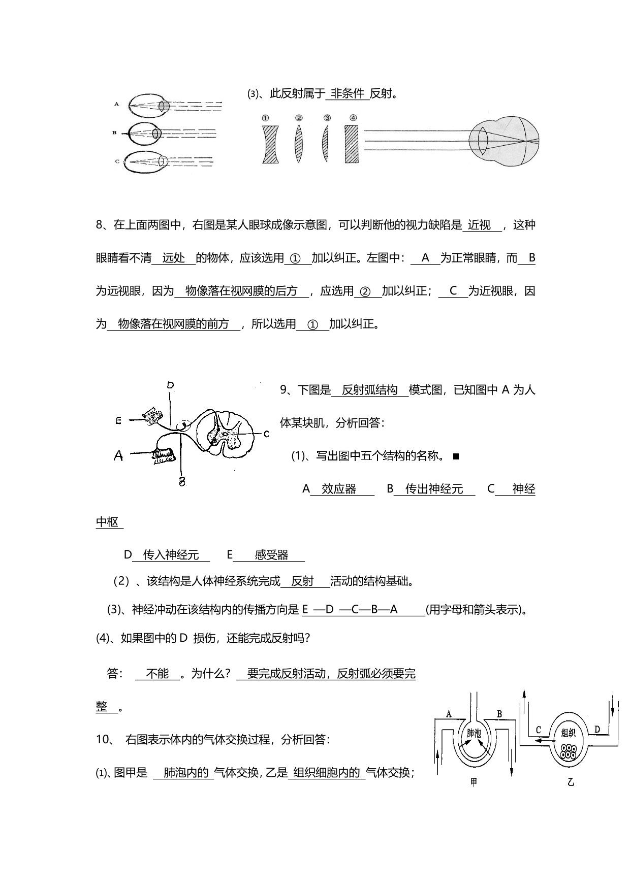 暑期预习衔接2020初一上学期生物全册知识点总结（pdf版）