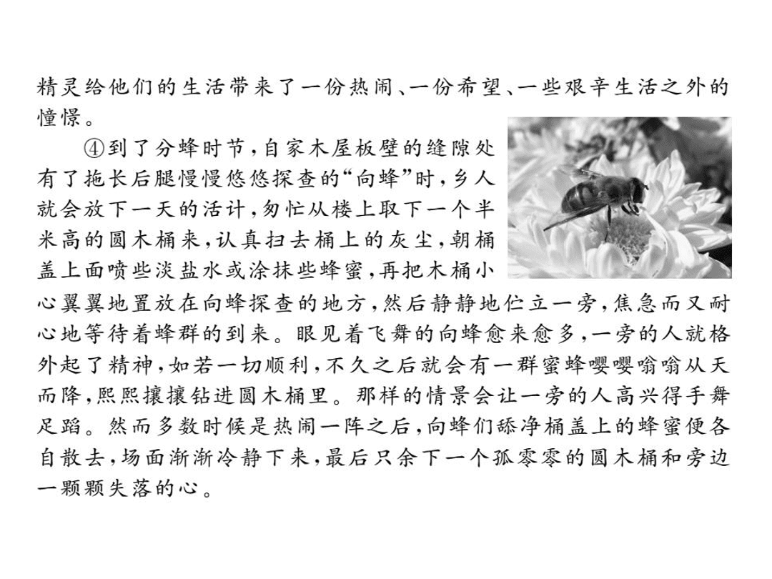 苏教版七年级语文上册期中检测卷（PDF）