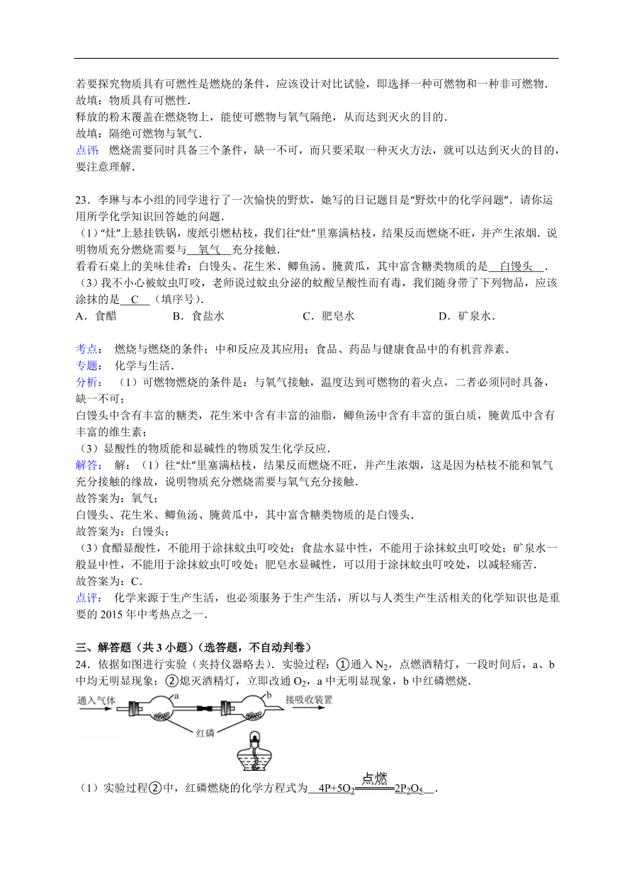 中考化学一轮复习真题集训 燃烧与燃烧的条件