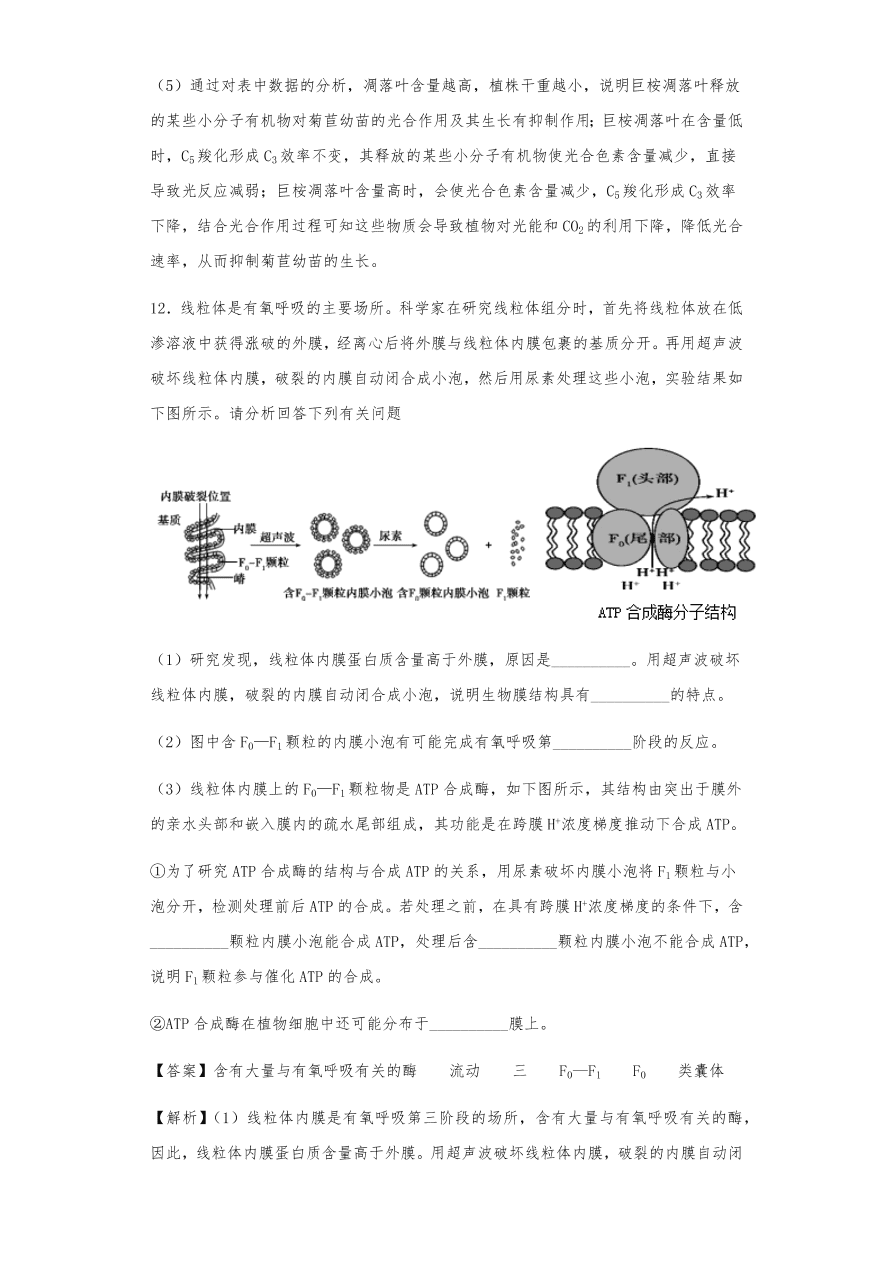 人教版高三生物下册期末考点复习题及解析：呼吸作用与光合作用