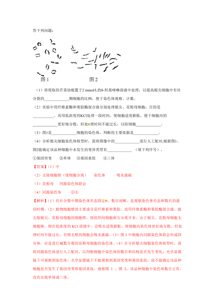 2020-2021学年高三生物一轮复习易错题04 细胞的生命历程