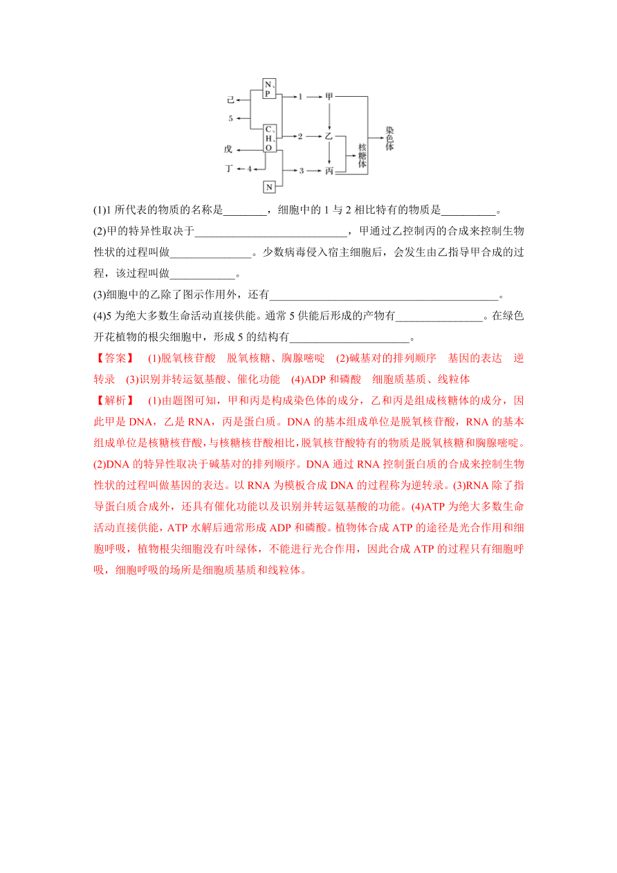 2020-2021学年高三生物一轮复习专题03 蛋白质和核酸（练）