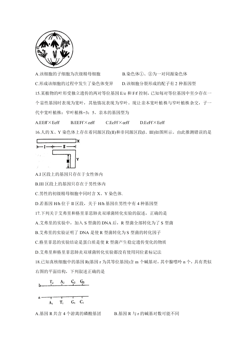 安徽省皖北名校2020-2021高二生物上学期第一次联考试题（Word版附答案）